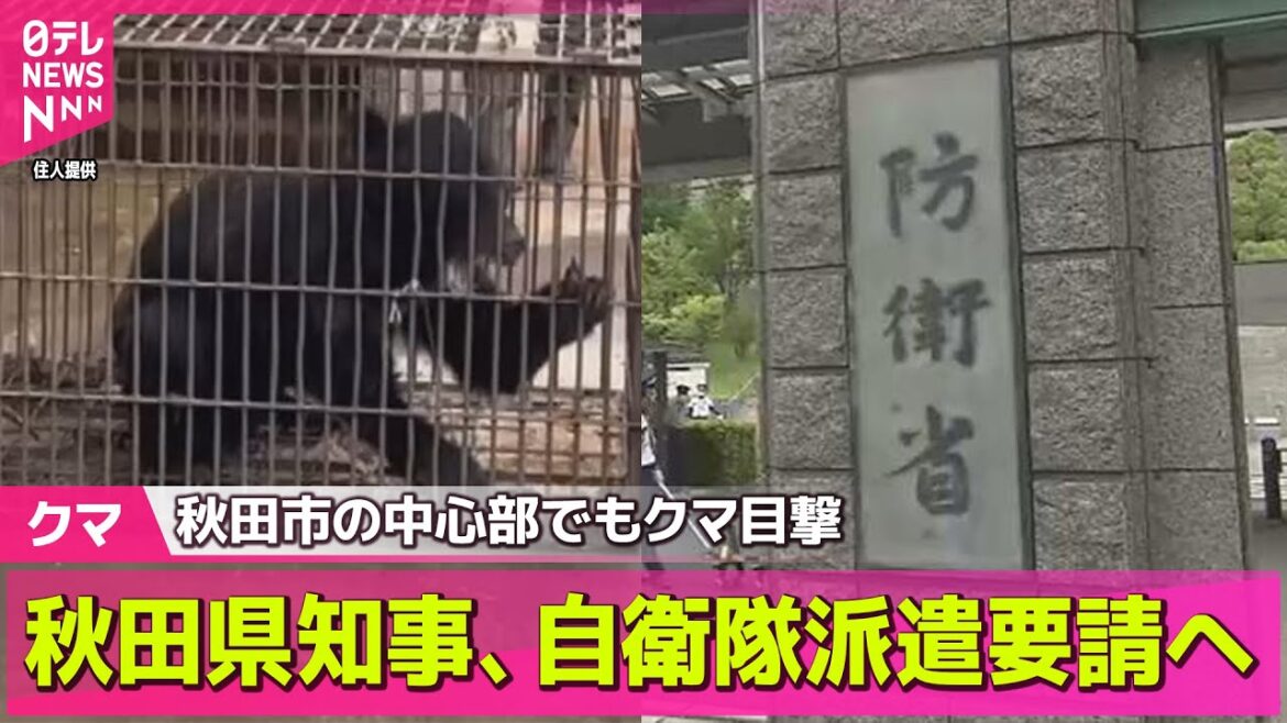 【クマ】秋田県知事、自衛隊派遣要請へ  秋田市の中心部でもクマ目撃 / クマ対策での自衛隊派遣  秋田県知事の要請あれば防衛省は派遣の方向で調整 ── ニュースまとめ (日テレNEWS LIVE) 【クマ】秋田県知事、自衛隊派遣要請へ  秋田市の中心部でもクマ目撃 / クマ対策での自衛隊派遣  秋田県知事の要請あれば防衛省は派遣の方向で調整 ── ニュースまとめ (日テレNEWS LIVE)
