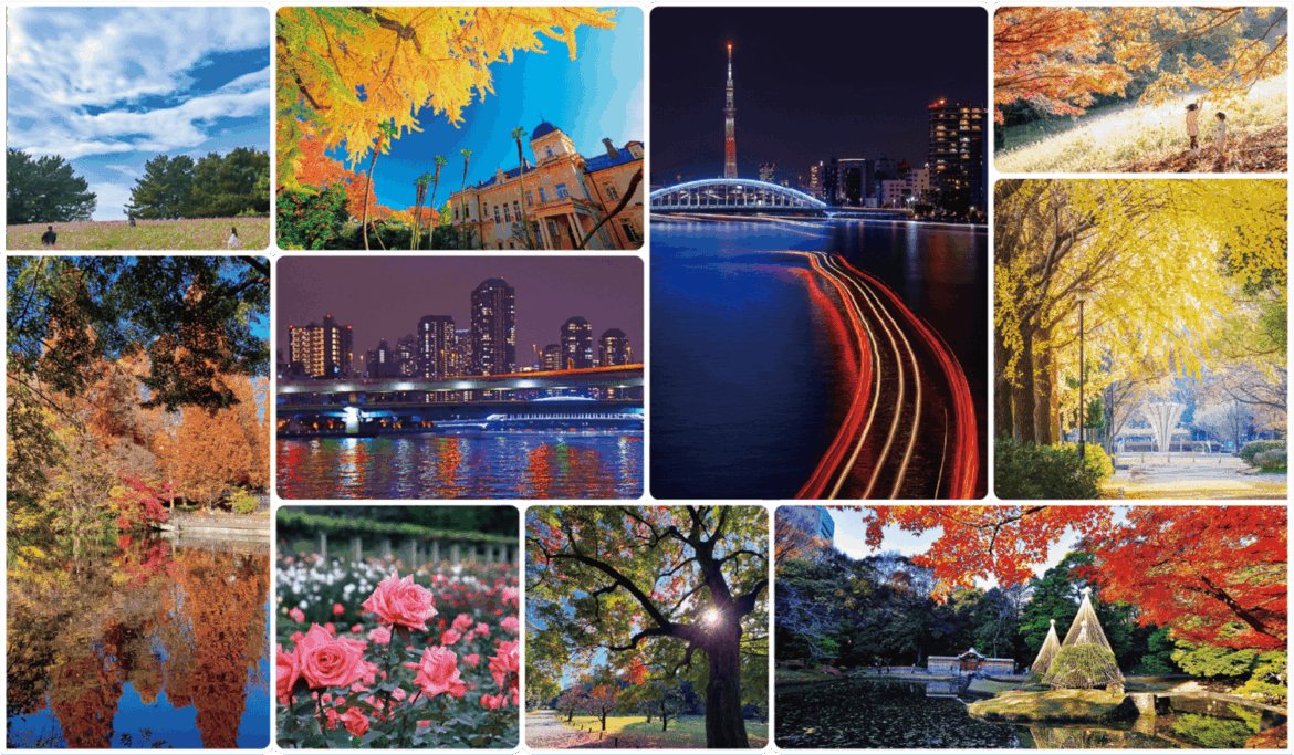 過去の入賞作品および、施設紹介写真