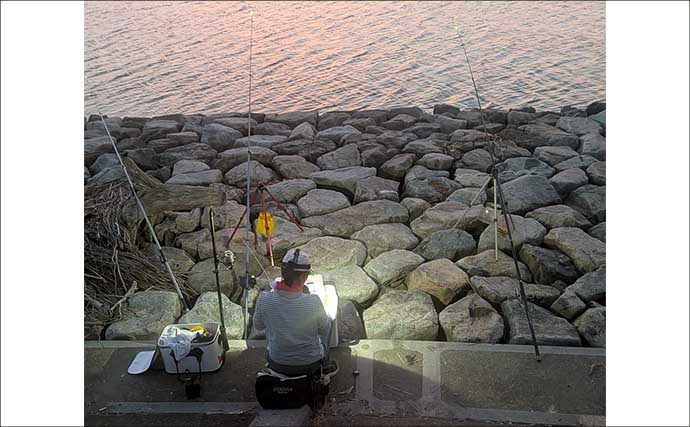 宮川の投げ釣りで良型ウナギ4匹キャッチ!【三重】潮の変化と仕掛け工夫が奏功