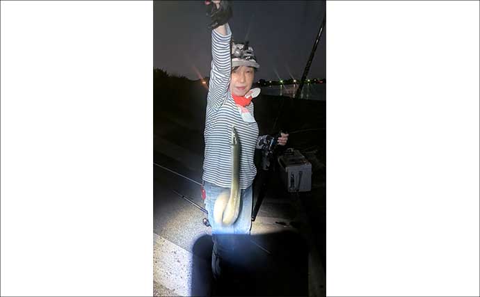 宮川の投げ釣りで良型ウナギ4匹キャッチ!【三重】潮の変化と仕掛け工夫が奏功