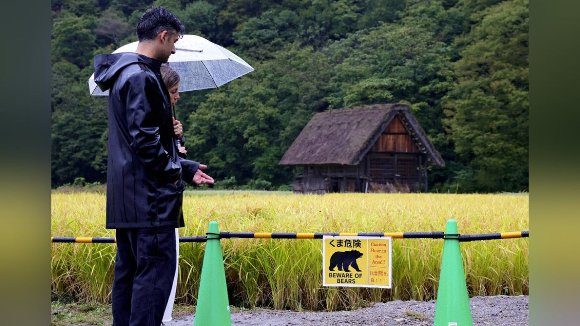 世界遺産・白川郷にクマ、スペイン人観光客が襲われ軽傷…展望台行きシャトルバス乗り場付近 – 読売新聞オンライン 世界遺産・白川郷にクマ、スペイン人観光客が襲われ軽傷…展望台行きシャトルバス乗り場付近 - 読売新聞オンライン