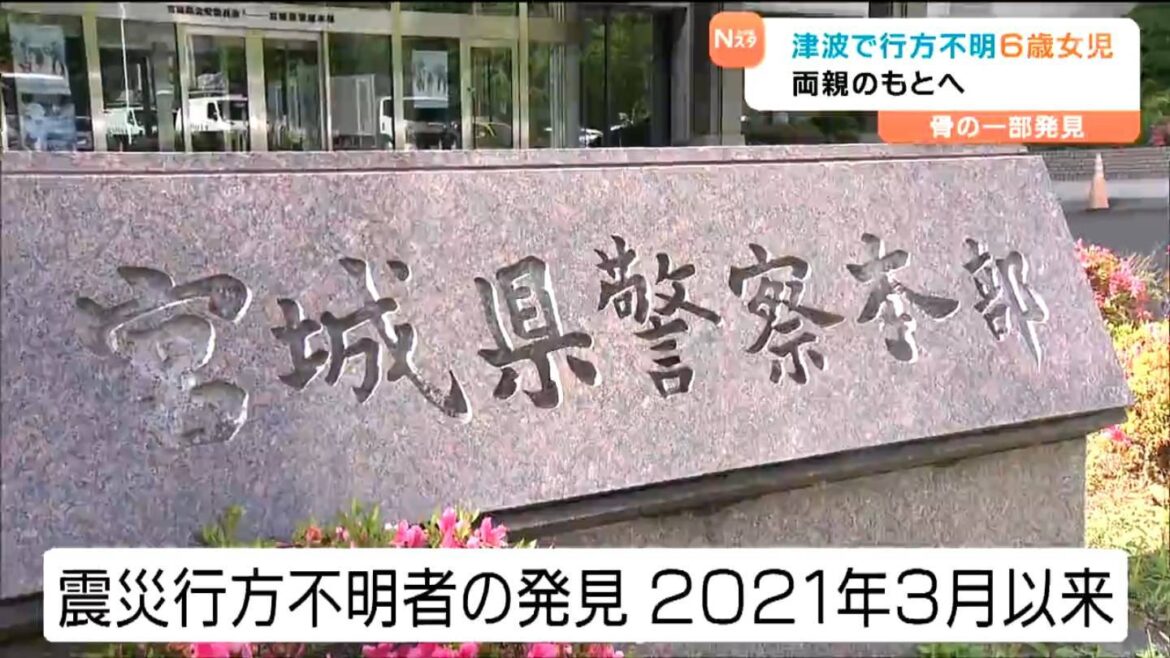 震災14年半、行方不明だった岩手県の当時6歳女児の身元判明 家族のもとへ 宮城（tbc東北放送） - Yahoo!ニュース