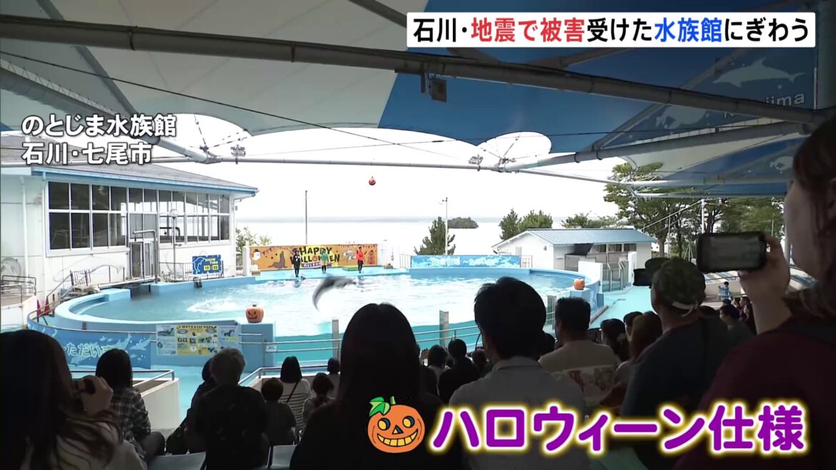 「のとじま水族館」多くの家族連れでにぎわう　ハロウィーン仕様のイルカショーも　石川・七尾市（TBS NEWS DIG Powered by JNN）