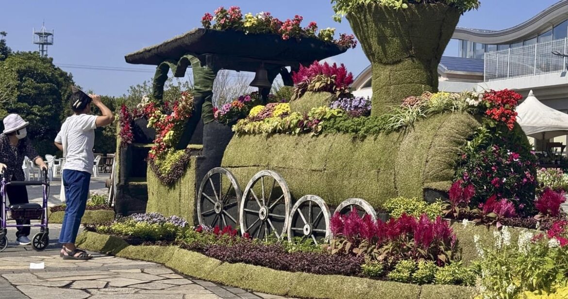 【宮崎】草花2万株が秋を彩る 宮崎市で｢フローラル祭｣ - 福岡ふかぼりメディア ささっとー