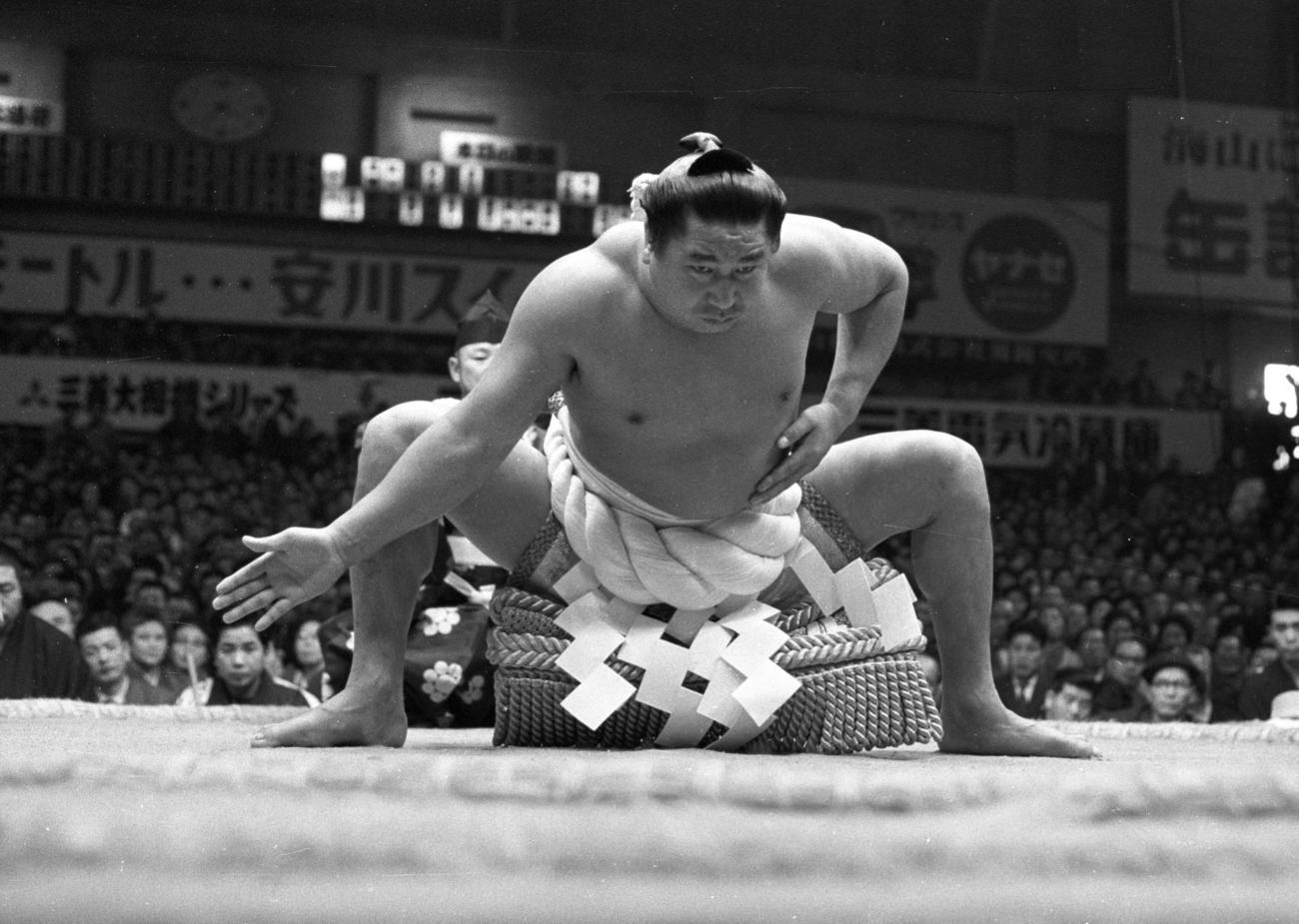 初代若乃花の土俵入り(1961年11月20日撮影)
