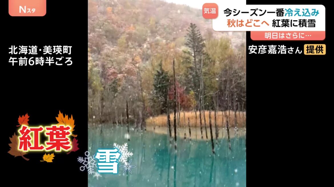 秋はいずこ…紅葉と雪が一緒に！？北海道や東北で積雪も…「これから冬が始まると思うと嫌だ」ほっかほかの焼き芋大盛況！ 3か月予報も発表（TBS NEWS DIG Powered by JNN）