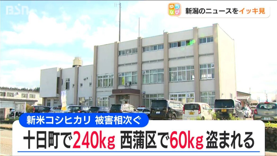 “新米”の窃盗被害 相次ぐ 新潟県内（ＢＳＮ新潟放送） - Yahoo!ニュース