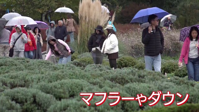 早くも“マフラーの出番” 河口湖で7.1℃ 県内各地で冷え込み 観測全10地点で今季最低を記録 山梨(YBS山梨放送) 早くも“マフラーの出番” 河口湖で7.1℃ 県内各地で冷え込み 観測全10地点で今季最低を記録 山梨(YBS山梨放送)