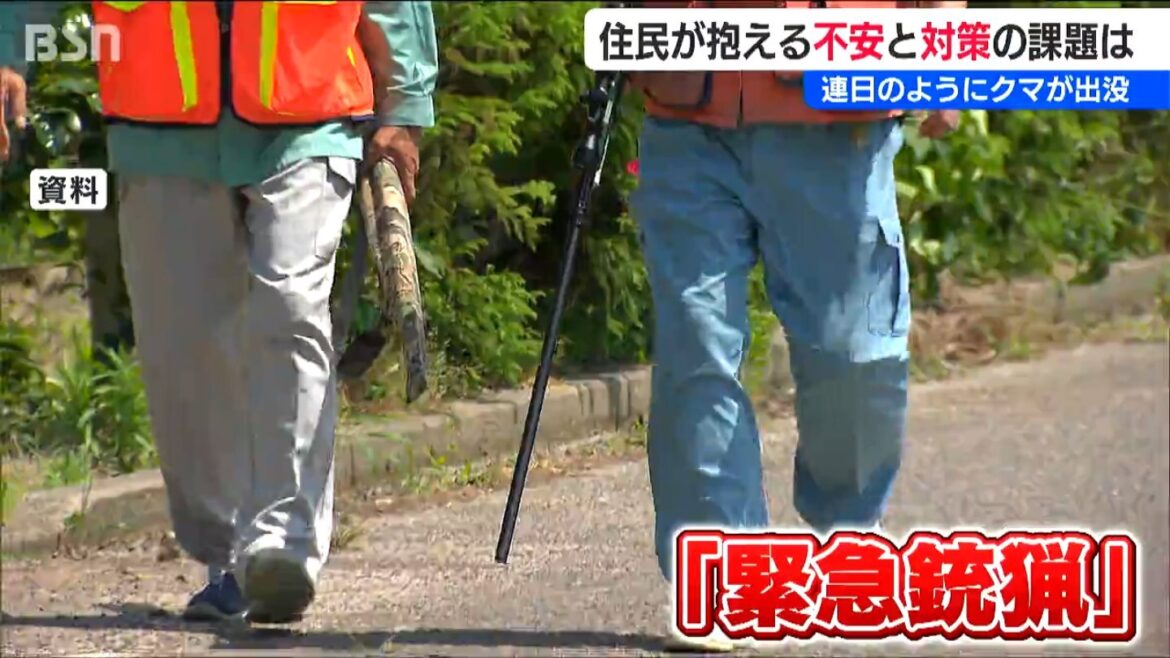 新潟県内初の『クマ緊急銃猟』その時 周辺住民は… クマが連日出没する集落は「過疎化による人手不足」などで対応に苦慮(BSN新潟放送) – Yahoo!ニュース 新潟県内初の『クマ緊急銃猟』その時 周辺住民は… クマが連日出没する集落は「過疎化による人手不足」などで対応に苦慮(BSN新潟放送) - Yahoo!ニュース