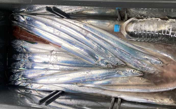 【沖のルアー釣果速報】伊勢湾キャスティングゲームでサワラ&サゴシ連発!(三重・愛知)