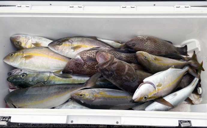 【沖のルアー釣果速報】伊勢湾キャスティングゲームでサワラ&サゴシ連発!(三重・愛知)