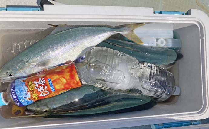 「台風明けの鳥羽沖で多魚種乱舞!」タテ釣りでハマチ&マトウダイ&ウッカリカサゴ好捕【三重】