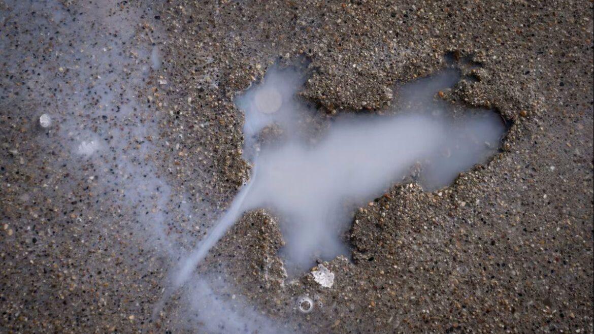 歩道に残った「ネズミ形」の謎、真犯人がついに判明　米シカゴの観光名所、専門家が調査 - CNN.co.jp