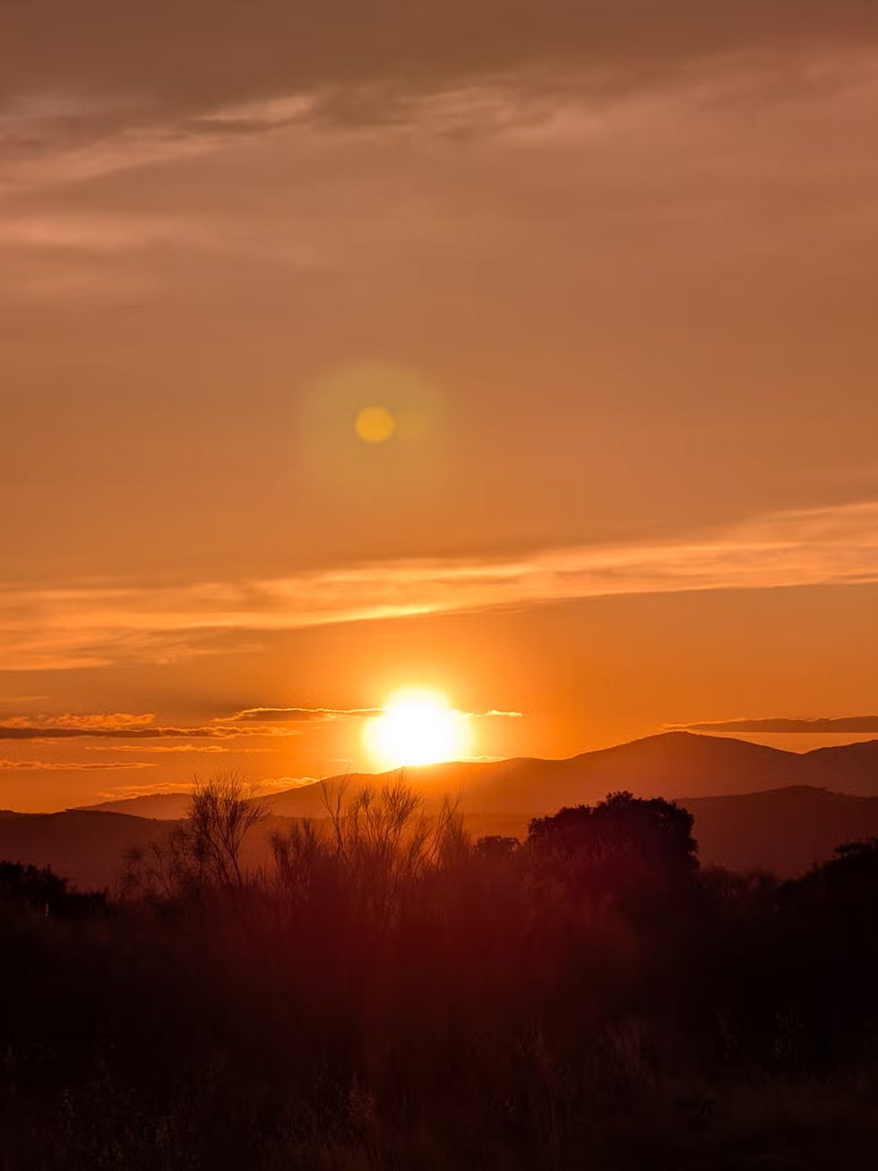 Pixel 10:2倍ズーム pixel 10:2倍ズーム