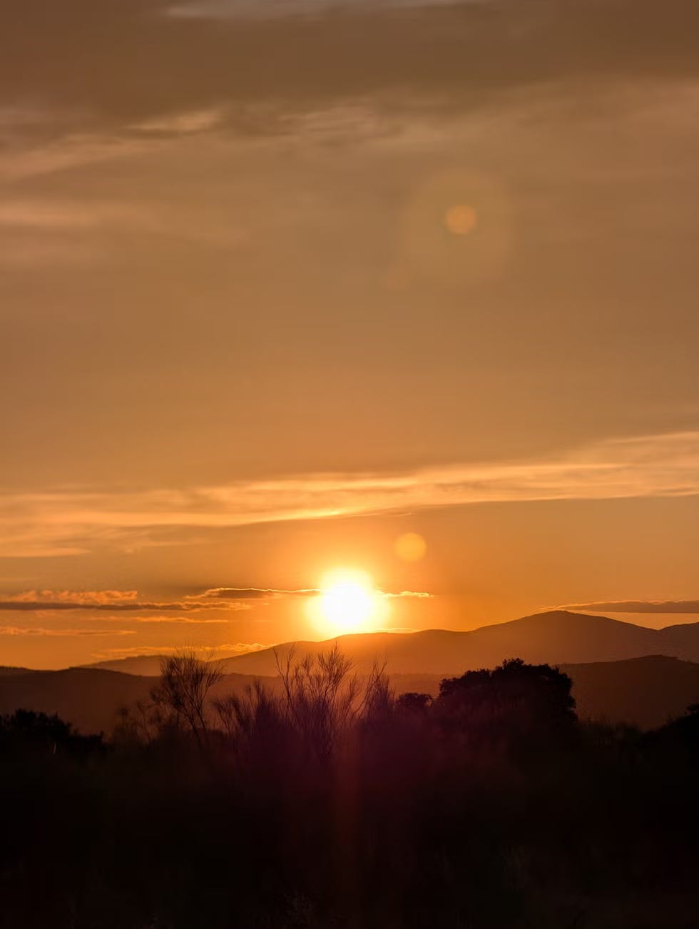 Pixel 10 Pro:2倍ズーム pixel 10 pro:2倍ズーム