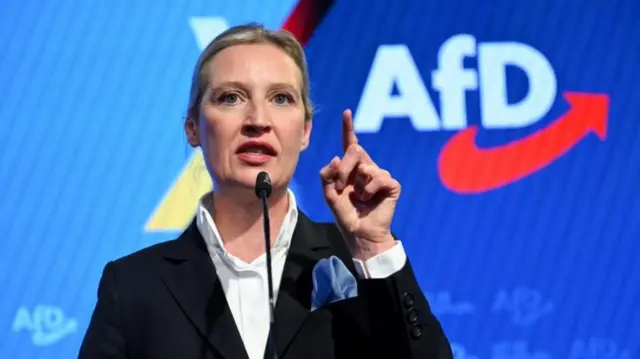 「ドイツのための選択肢(AfD)」のアリス・ヴァイデル共同党首