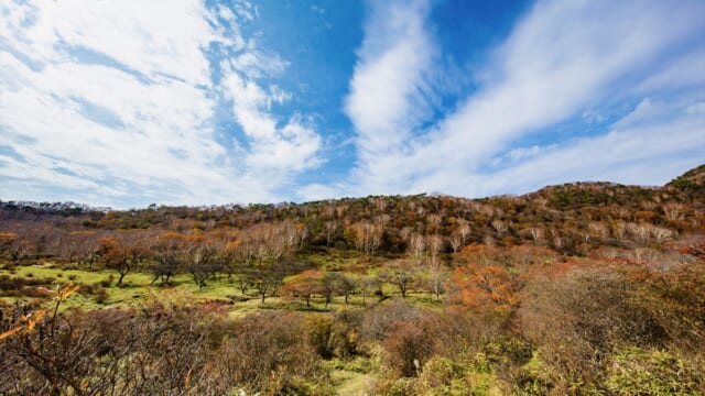【5日間・各日20名限定】普段は入れない!群馬県 赤城白樺牧場へ秘密の絶景ツアー開催 | TABIZINE~人生に旅心を~ 【5日間・各日20名限定】普段は入れない!群馬県 赤城白樺牧場へ秘密の絶景ツアー開催 | TABIZINE~人生に旅心を~