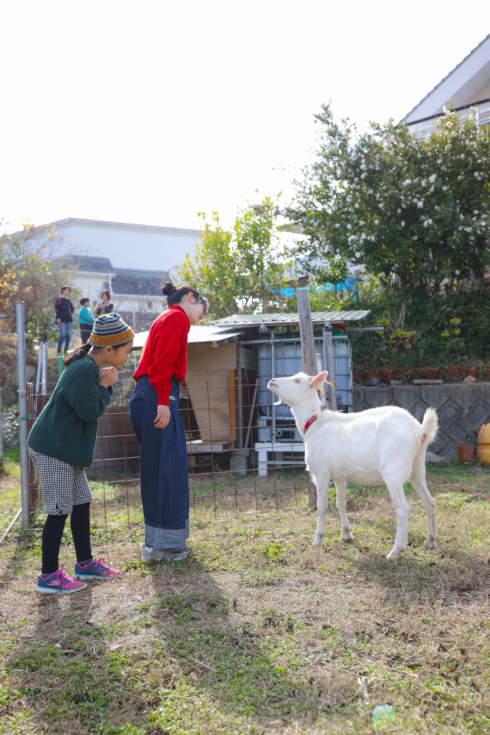 台湾出身の楊百泓さん夫妻は淡路島で「台南家」を営み、《風傳媒》の取材に移住の思いを語った。台南家 TAINAN HOUSE