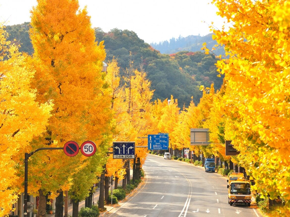 秋に行きたい「東京都の絶景ドライブスポット」ランキング! 「高尾街道」を抑えた1位は? – All About ニュース 秋に行きたい「東京都の絶景ドライブスポット」ランキング! 「高尾街道」を抑えた1位は? - All About ニュース
