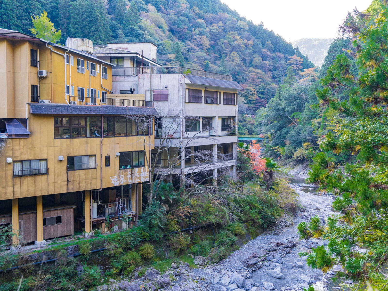 「夜景が美しいと思う「和歌山県(南紀・熊野・白浜エリア)の温泉地」」ランキング