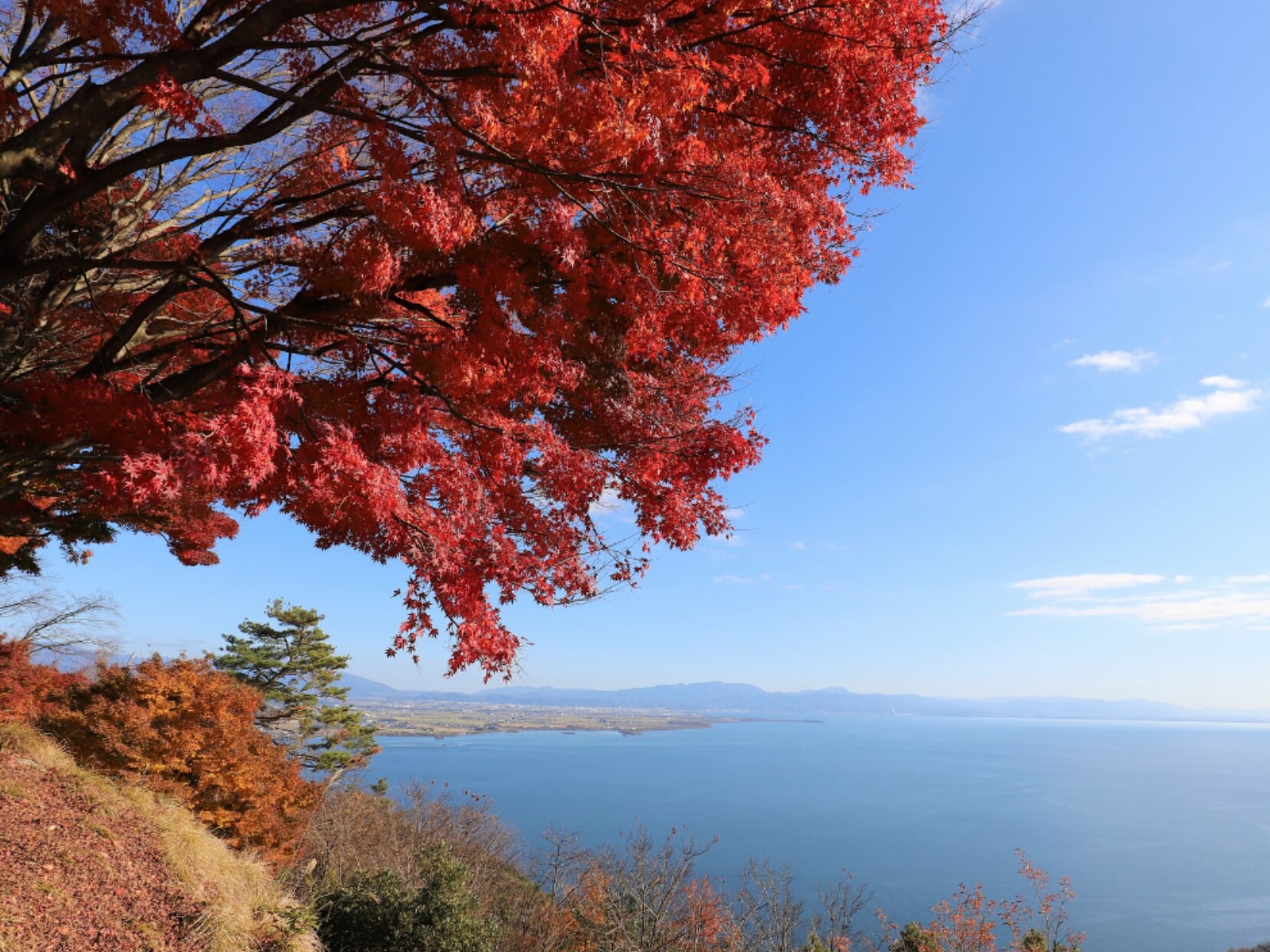 「滋賀県の絶景ドライブスポット」ランキング