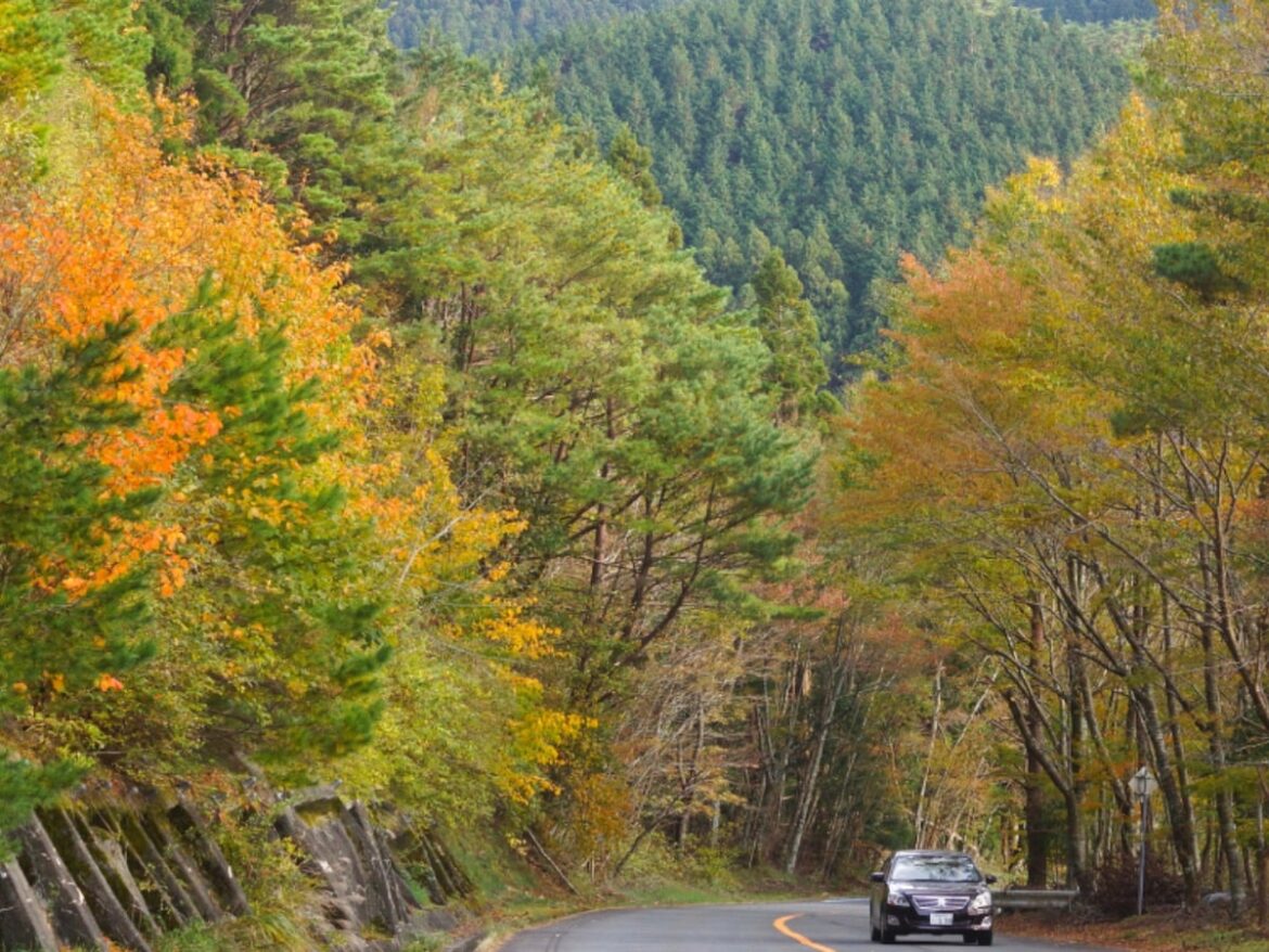 秋に行きたい「和歌山県の絶景ドライブスポット」ランキング! 2位「高野龍神スカイライン・護摩壇山周辺ルート」、1位は? – All About ニュース 秋に行きたい「和歌山県の絶景ドライブスポット」ランキング! 2位「高野龍神スカイライン・護摩壇山周辺ルート」、1位は? - All About ニュース