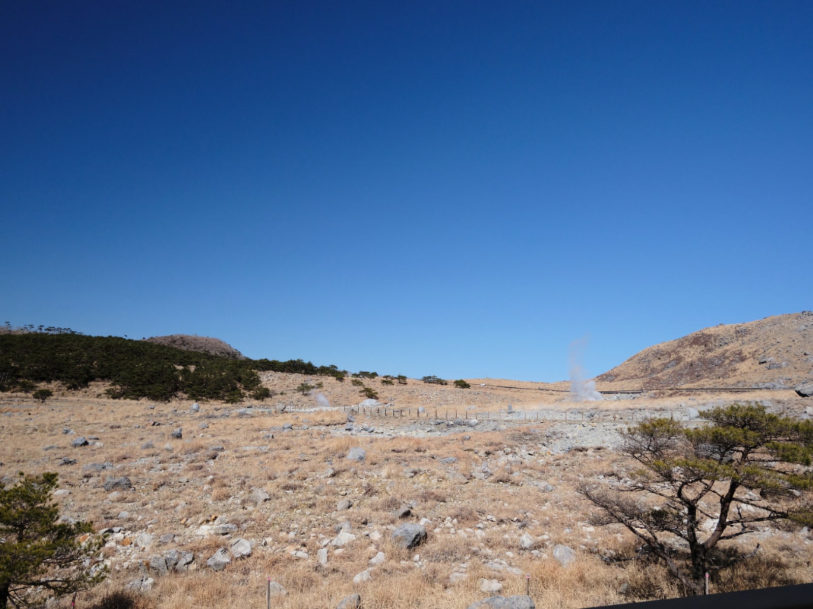 「秋に行きたい「鹿児島県の絶景ドライブスポット」」ランキング