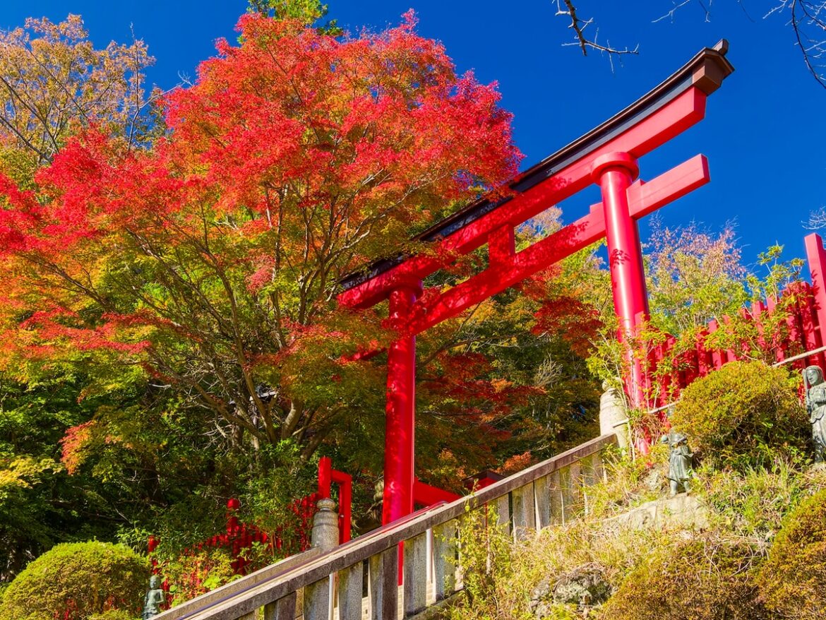 好き&行ってみたい「東京都の紅葉スポット」ランキング! 2位「高尾山」を抑えた1位は?【2025年調査】 – All About ニュース 好き&行ってみたい「東京都の紅葉スポット」ランキング! 2位「高尾山」を抑えた1位は?【2025年調査】 - All About ニュース