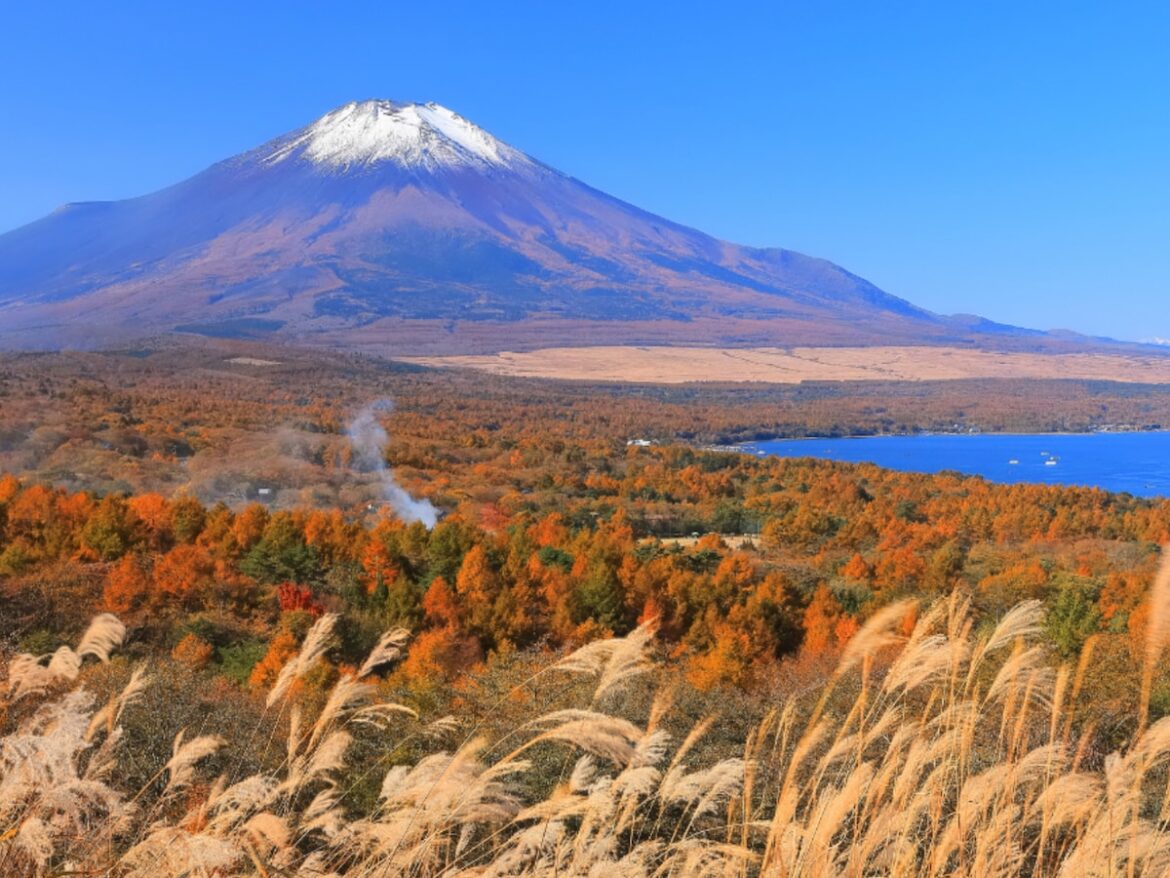 好き&行ってみたい「山梨県の紅葉スポット」ランキング! 2位「山中湖」、1位は? 【2025年調査】 – All About ニュース 好き&行ってみたい「山梨県の紅葉スポット」ランキング! 2位「山中湖」、1位は? 【2025年調査】 - All About ニュース