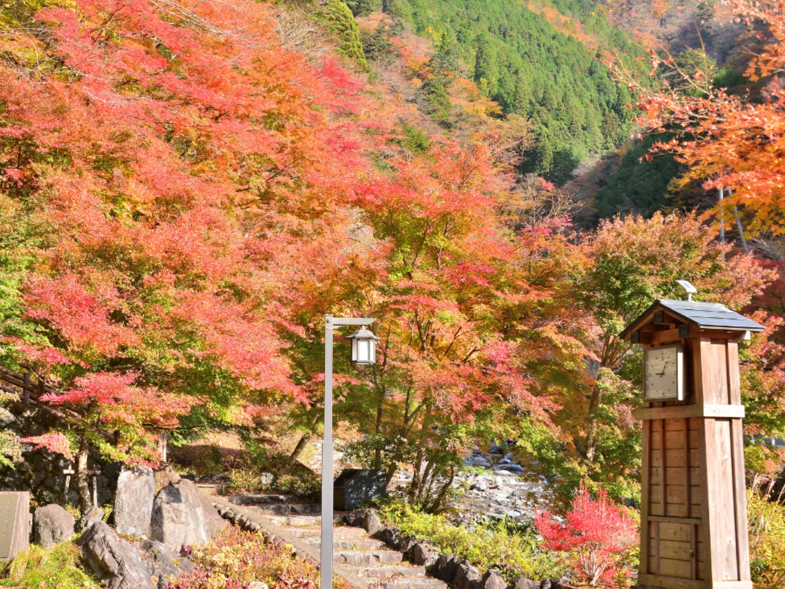 「秋に行きたい静岡県の穴場秘境」ランキング