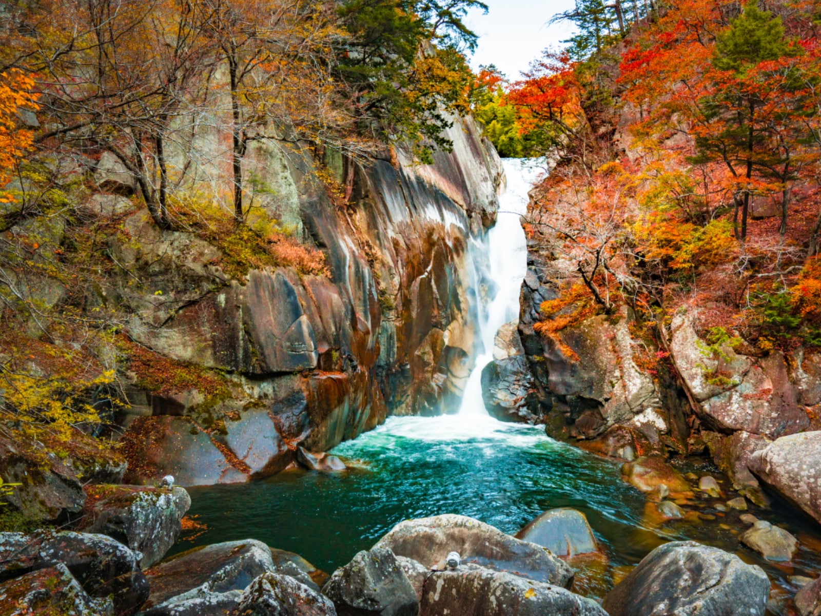 「山梨県で秋に行きたい滝」ランキング