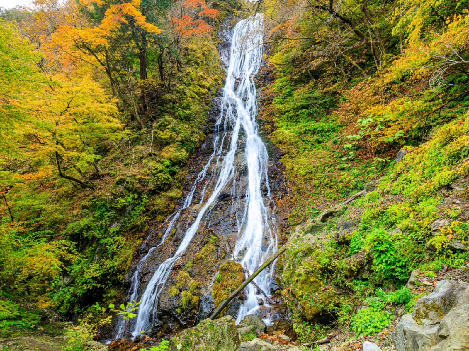 埼玉県で「秋に行きたい滝」ランキング