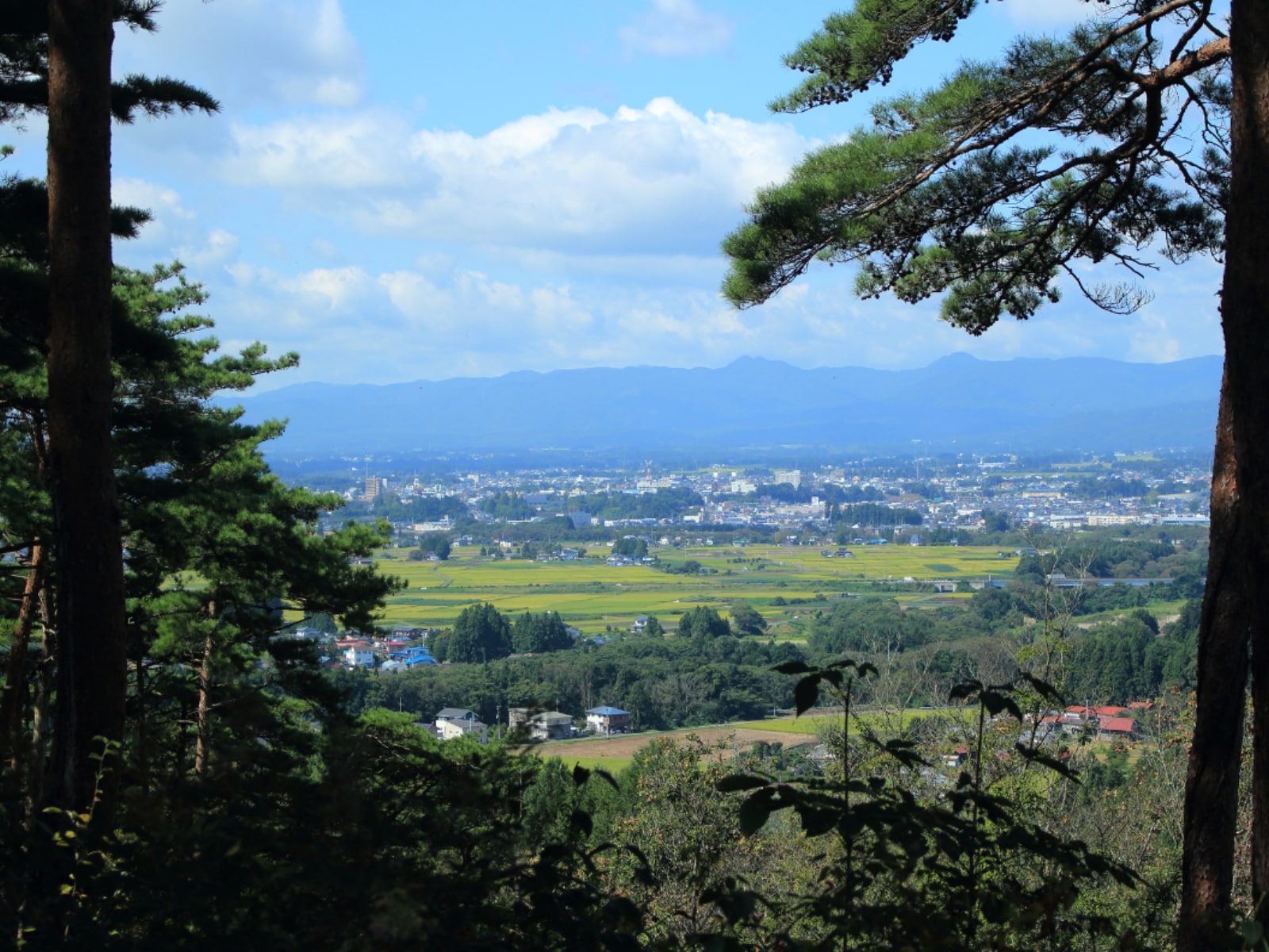 岩手県の市で「治安がいい」と思う市ランキング