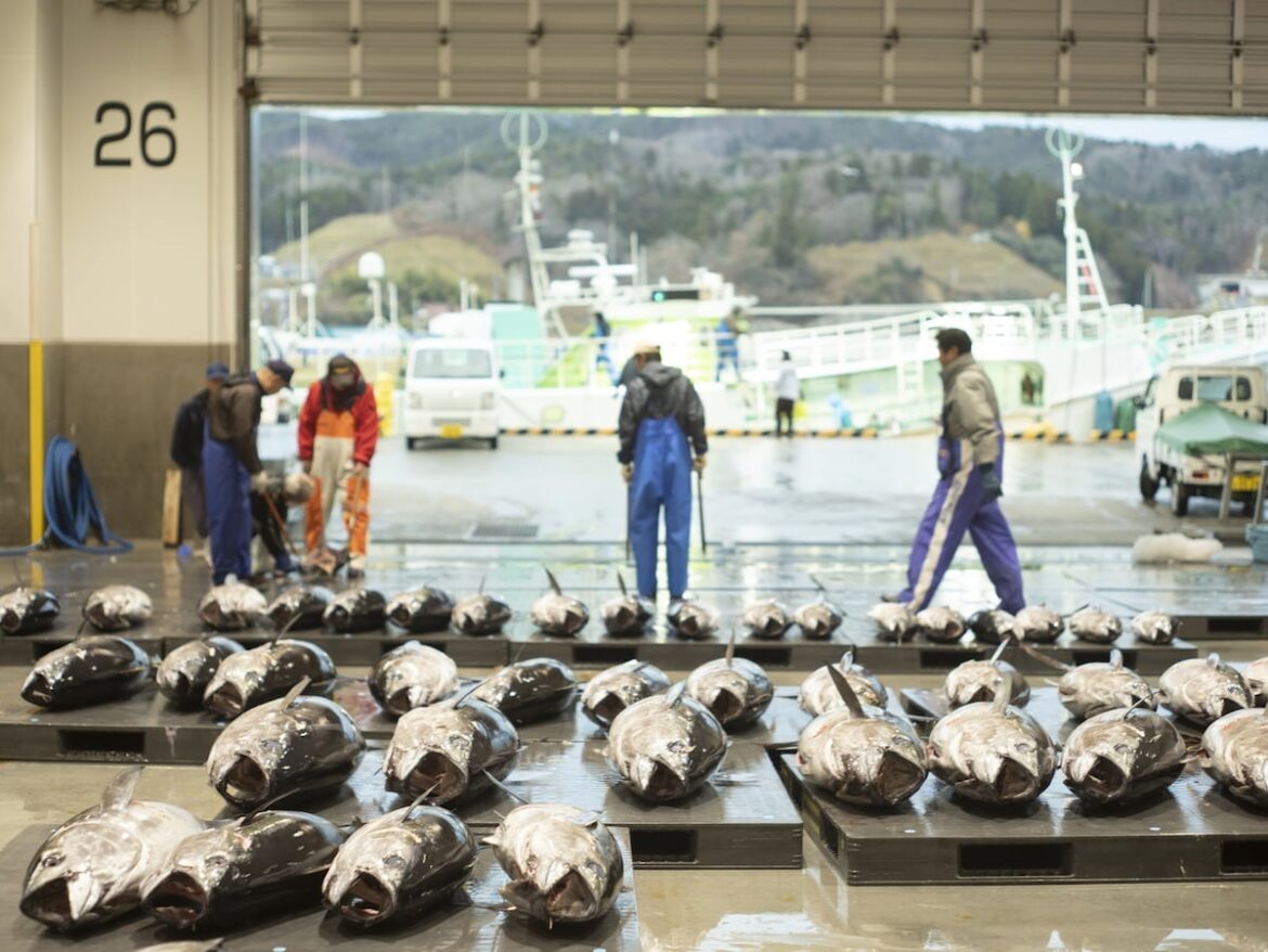 宮城県の市で「老後に住みたい」と思う市ランキング! 「気仙沼市」を抑えた圧倒的1位は?【2025年調査】 – All About ニュース 宮城県の市で「老後に住みたい」と思う市ランキング! 「気仙沼市」を抑えた圧倒的1位は?【2025年調査】 - All About ニュース