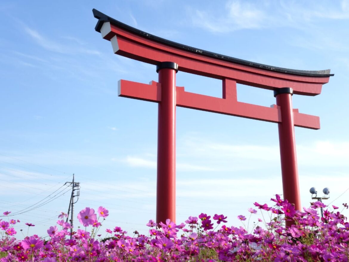 群馬県で「名前がかっこいい」と思う市ランキング! 2位「伊勢崎市」を抑えた1位は? 【2025年度調査】 – All About ニュース 群馬県で「名前がかっこいい」と思う市ランキング! 2位「伊勢崎市」を抑えた1位は? 【2025年度調査】 - All About ニュース