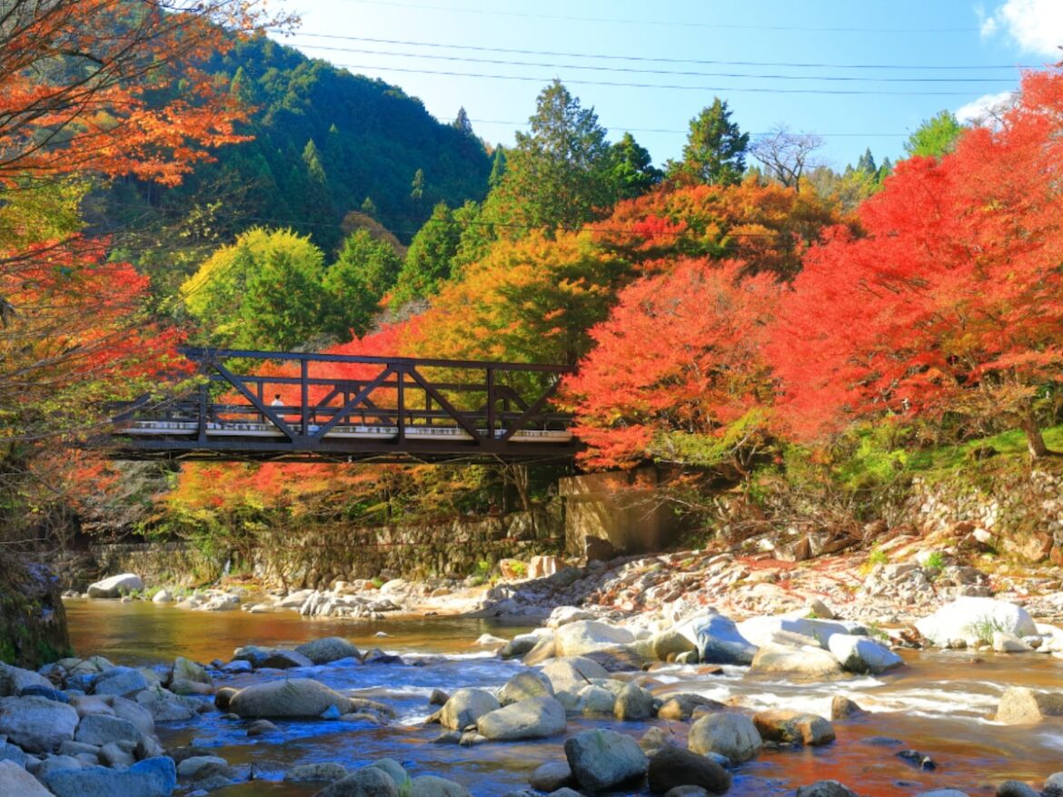 秋に行きたい「岡山県の穴場秘境」ランキング! 2位「奥津渓」をわずか2票差で抑えた1位は? 【2025年調査】 – All About ニュース 秋に行きたい「岡山県の穴場秘境」ランキング! 2位「奥津渓」をわずか2票差で抑えた1位は? 【2025年調査】 - All About ニュース