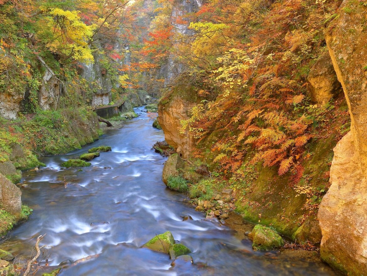 【宮城県】1人旅でも“浮かない”と話題の「鳴子温泉」とは? 「温泉のデパート」の魅力 – All About ニュース 【宮城県】1人旅でも“浮かない”と話題の「鳴子温泉」とは? 「温泉のデパート」の魅力 - All About ニュース
