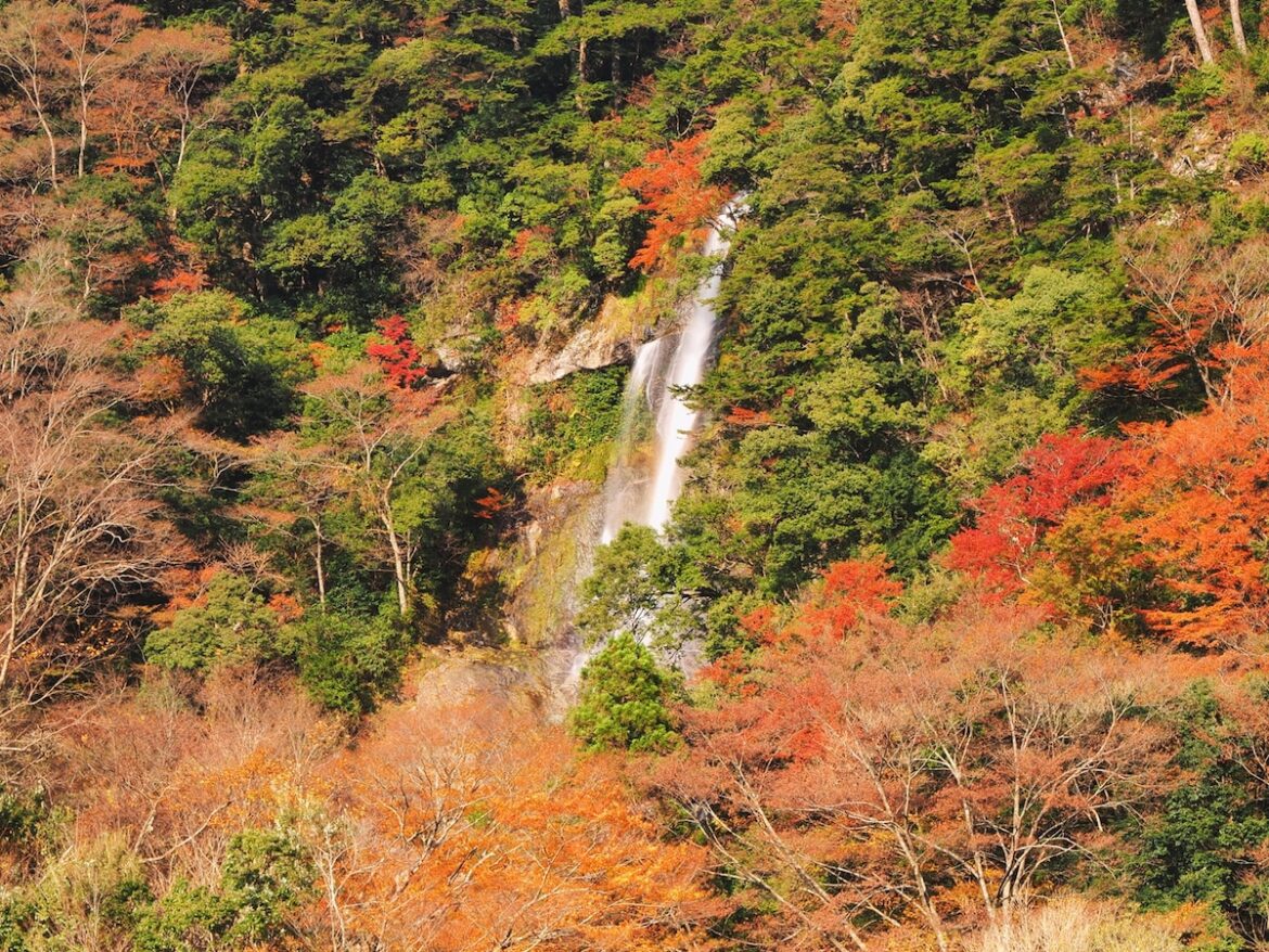 熊本県で「秋に行きたい滝」ランキング！ 2位「梅樟轟の滝」を抑えた1位は？【2025年調査】 - All About ニュース