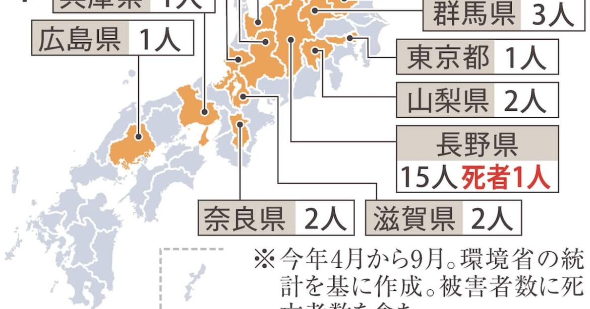 刺激与えれば冬でも活動の恐れ 冬眠準備のクマ、市街地出没のリスク継続 - 産経ニュース