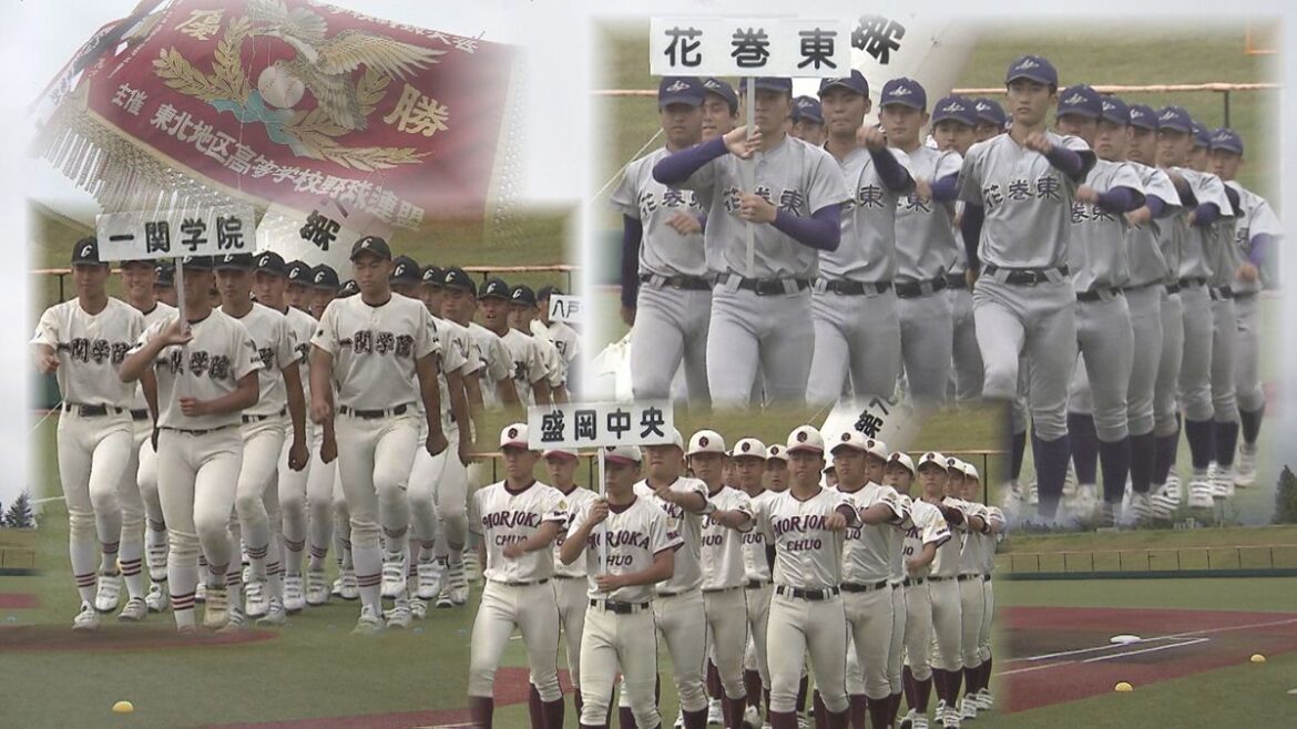 共有
