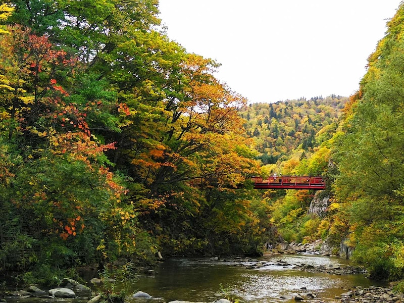 定山渓の名所「二見吊橋」と紅葉の渓谷（北海道）※撮影：大谷修一
