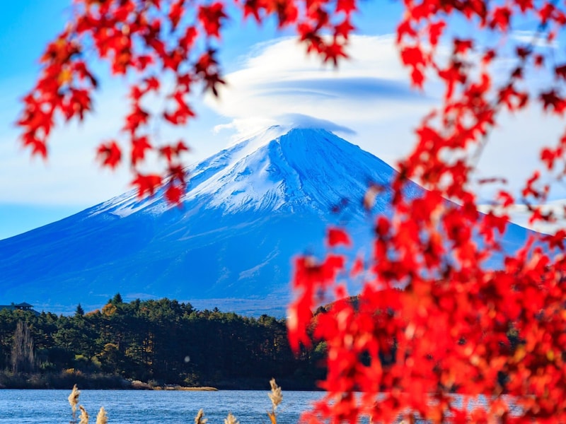 河口湖の留守ヶ岩浜から見た紅葉と富士山 ※画像：PIXTA