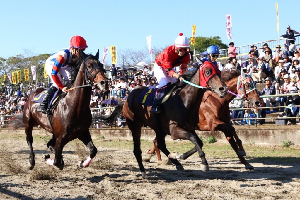 【九州秋めぐり】綾競馬（宮崎県綾町）　人馬一体、伝統のレース - 大分のニュースなら 大分合同新聞プレミアムオンライン Gate