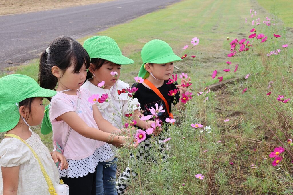 大分市の大野川河川敷で26日「コスモスまつり」 地域住民らが育てた20万本満開 – 大分のニュースなら 大分合同新聞プレミアムオンライン Gate 大分市の大野川河川敷で26日「コスモスまつり」 地域住民らが育てた20万本満開 - 大分のニュースなら 大分合同新聞プレミアムオンライン Gate