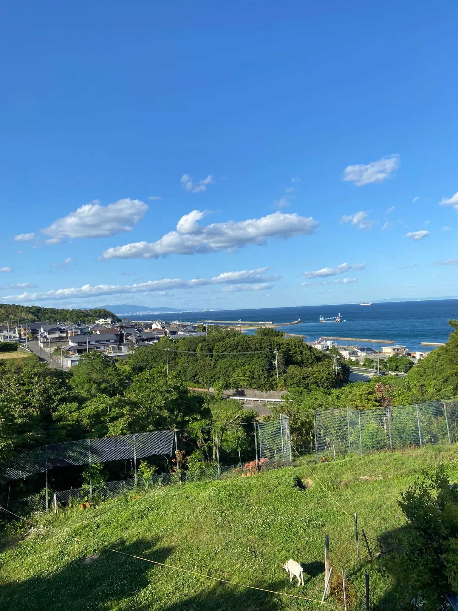 台湾出身の楊百泓さん夫妻は淡路島で「台南家」を営み、《風傳媒》の取材に移住の思いを語った。台南家 TAINAN HOUSE