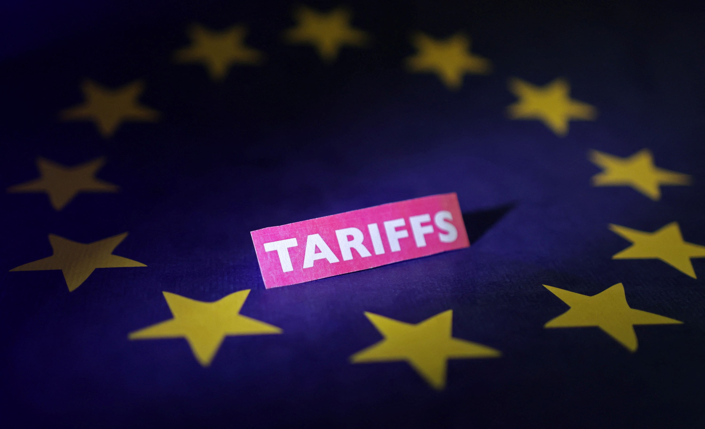 アングル：米国抜きの貿易連携模索するＥＵ、「トランプ関税」逃れも経済効果は未知数