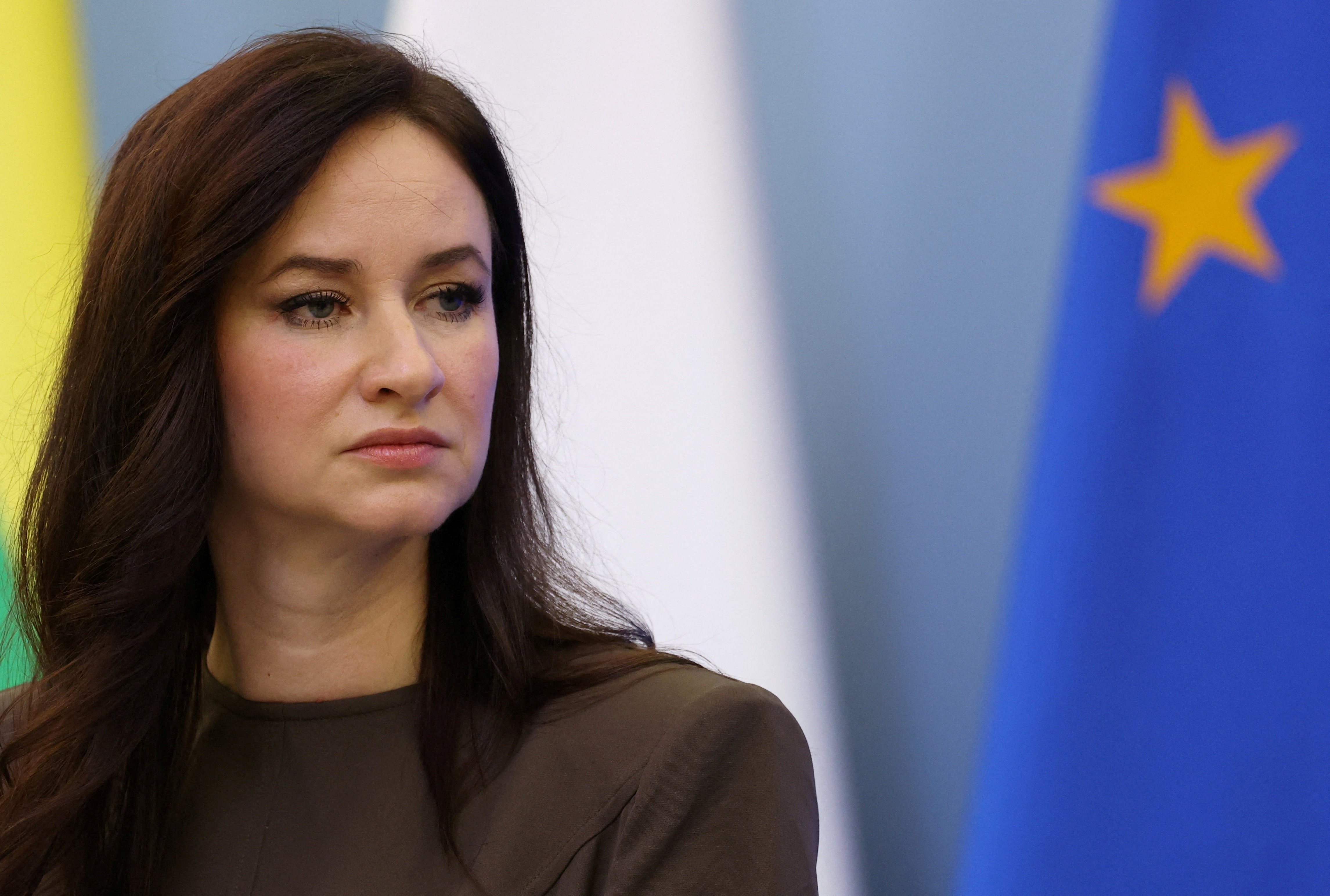 リトアニア、ベラルーシからの密輸運搬気球撃墜へ 空港閉鎖相次ぎ