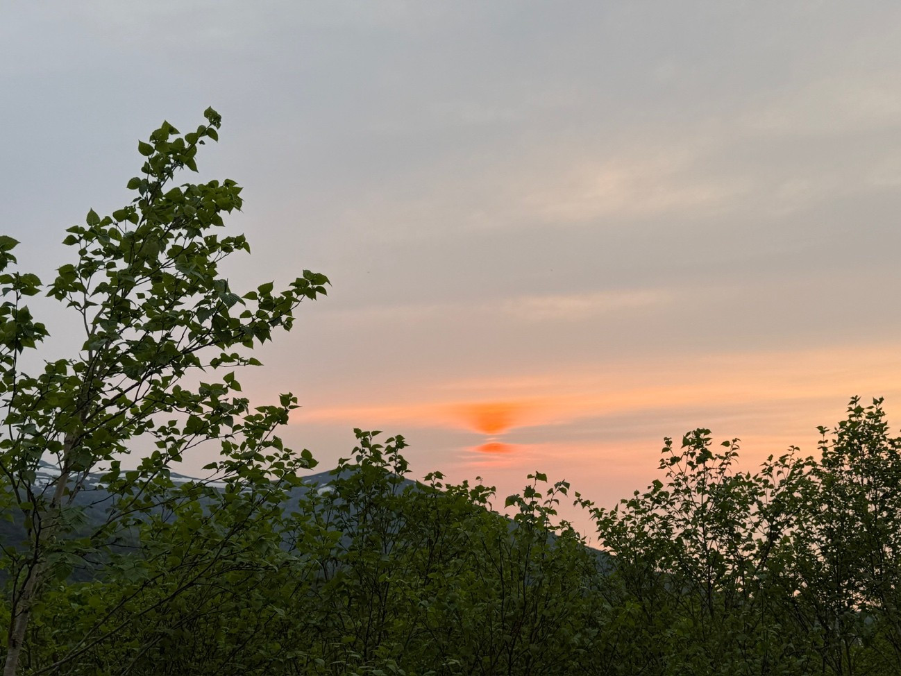 PLENUS20251020-4.jpg