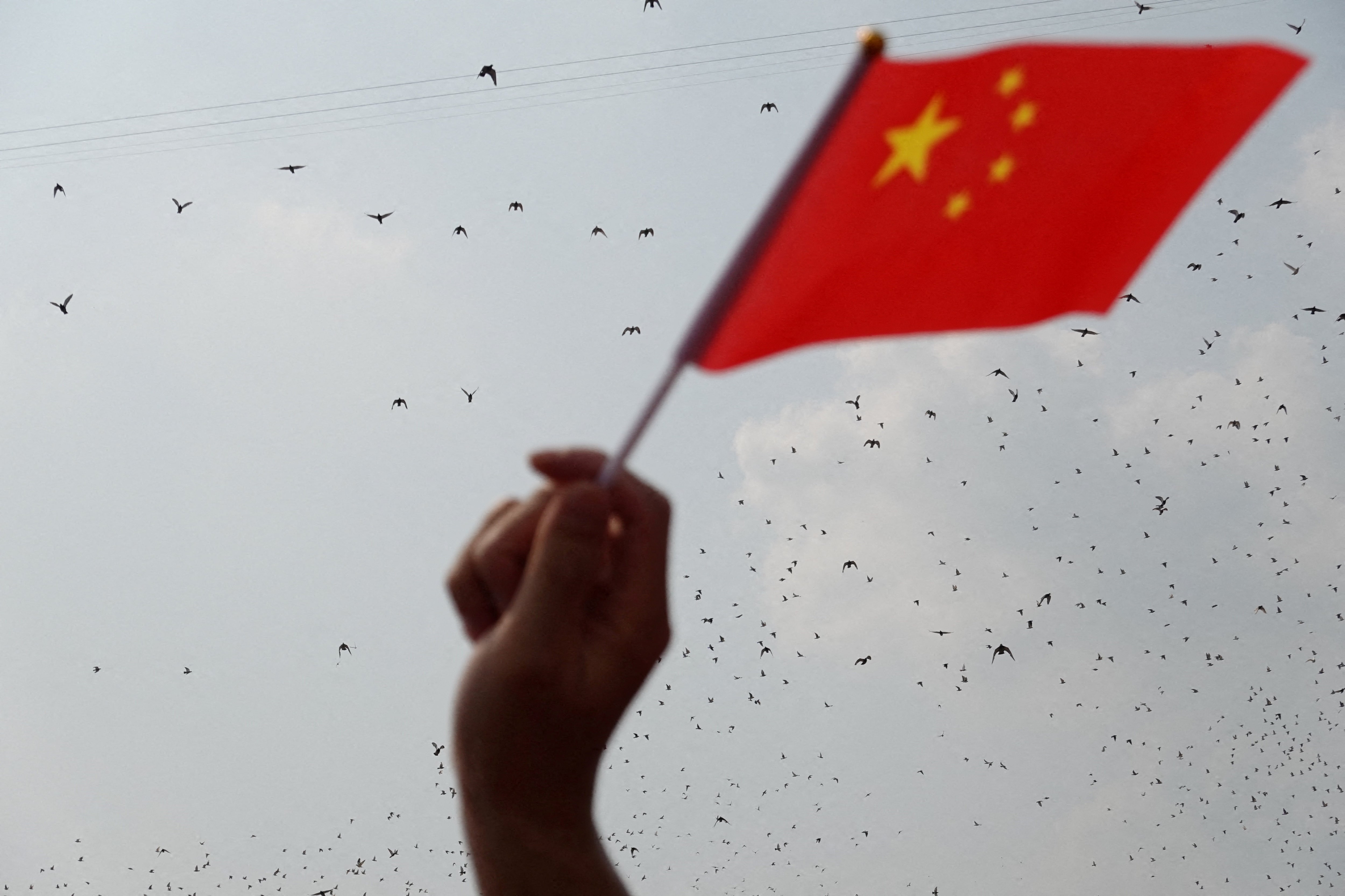 中国企業、インドネシアでアルミ生産拡大 供給過剰懸念高まる
