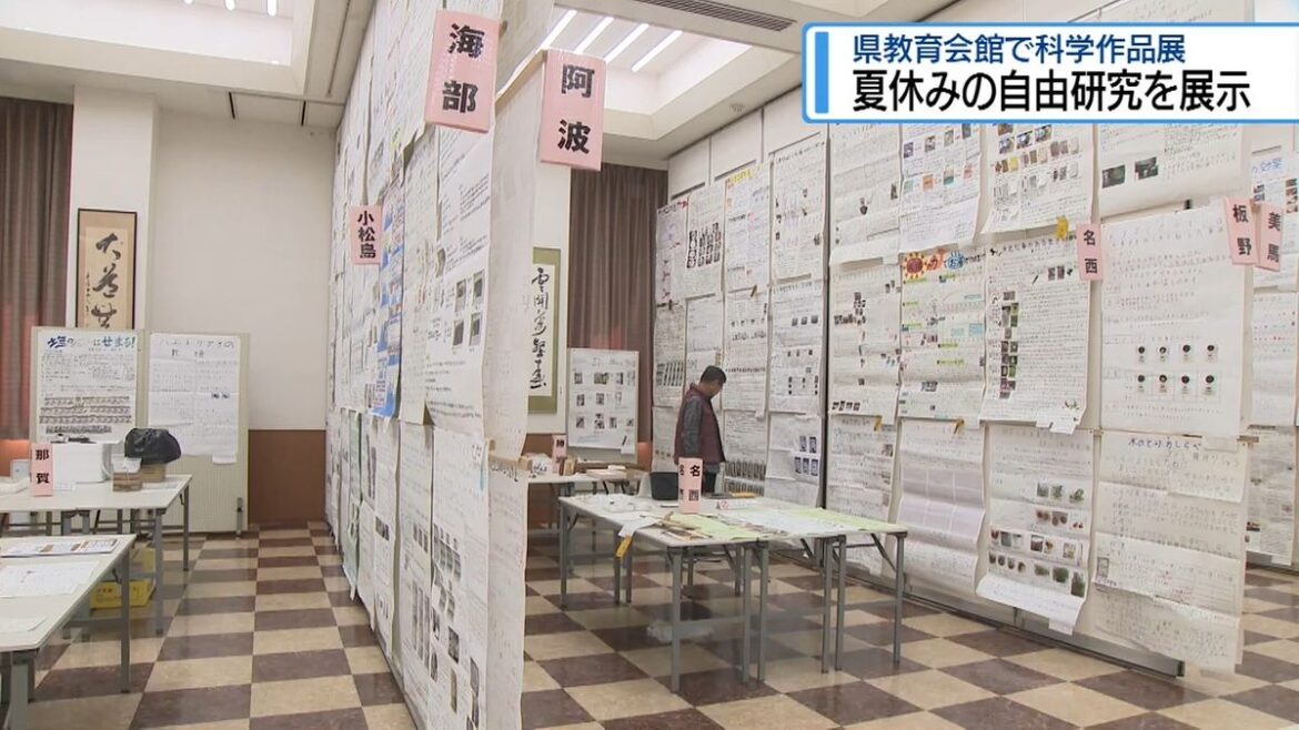 夏休みの「自由研究」展示 標本や研究記録など410点【徳島】(2025年10月23日掲載)|JRT NEWS NNN 共有